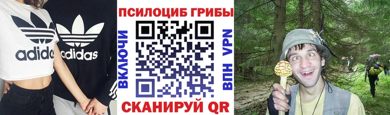 Псилоцибиновые грибы MAGIC MUSHROOMS  Купить закладки  Смоленск 